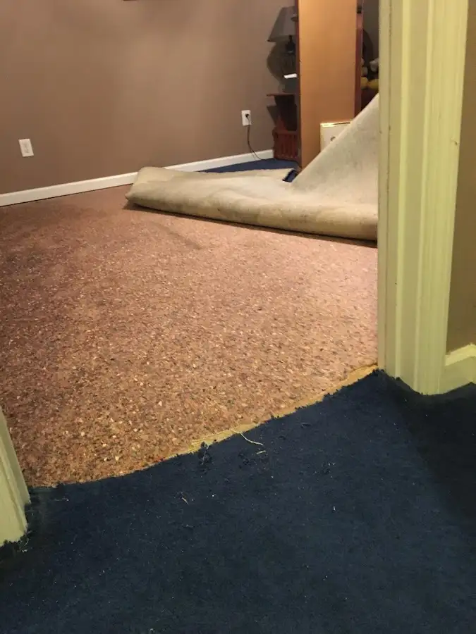 Carpet pad removal revealing water damage during Water Mitigation Services in Winooski